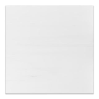 12x12 Bianco Dolomite Marble Tile Polished