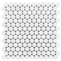 Bianco Dolomite Penny Round Mosaic Tile Polished