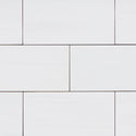 3x6 Bianco Dolomite Marble Subway Tile Honed